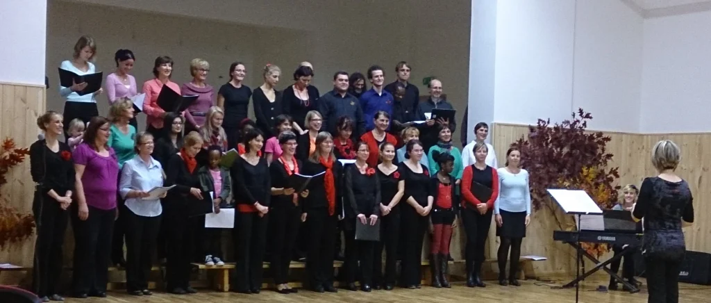 Sborobrani 2013